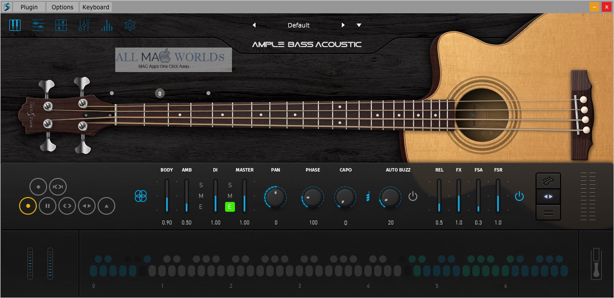 Ample Sound Ample Bass Acoustic v3 for Free Download