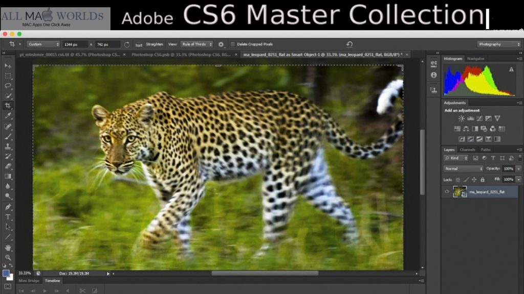 Adobe Master Collection CS6 for Mac Free Download 
