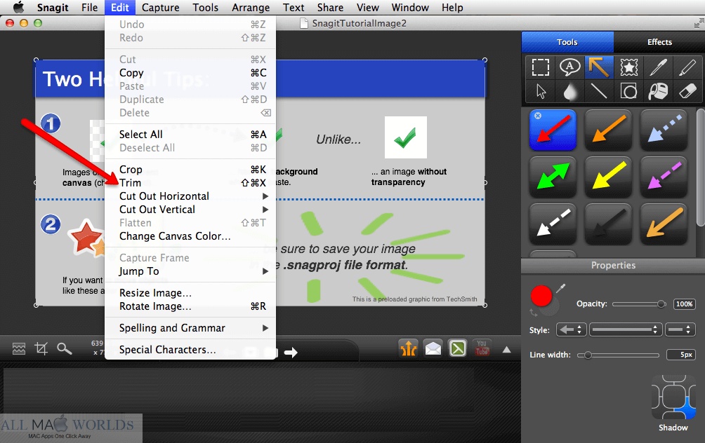 TechSmith Snagit 2021 For macOS Free Download