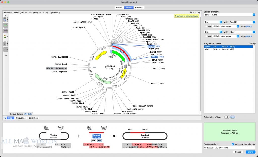 GSL Biotech SnapGene 5 for Mac Free Download