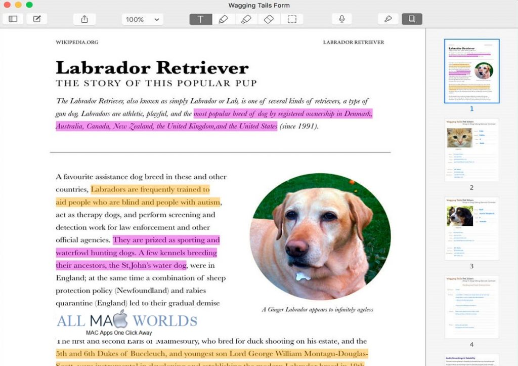 Notability 4 for macOS Free download