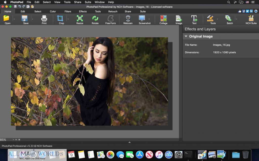 PhotoPad Professional 7 Free Download