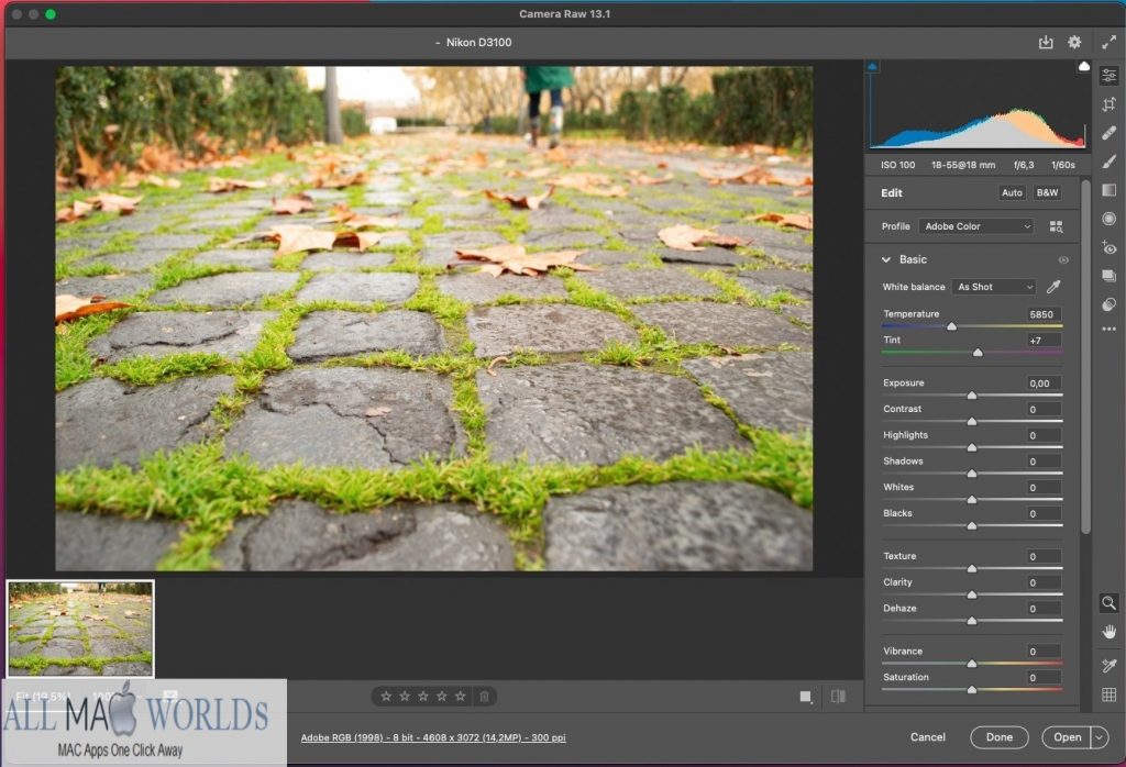 Adobe Camera Raw 13 for Free Download