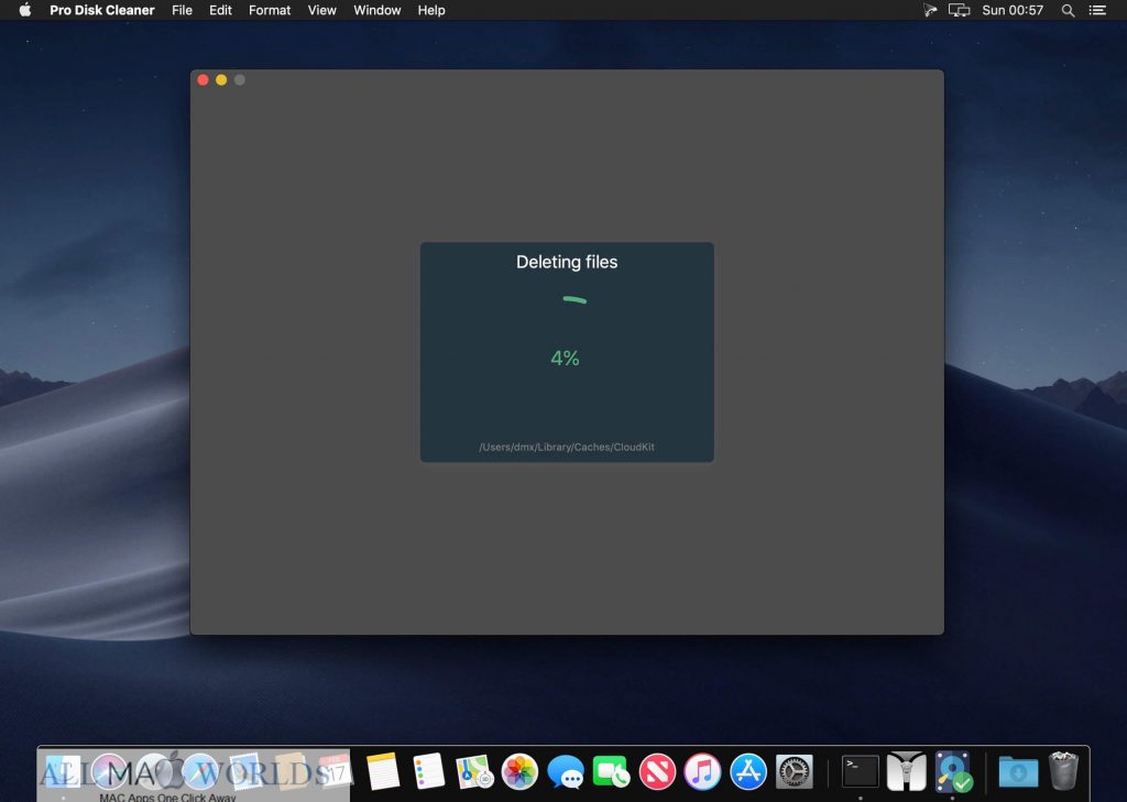 Pro Disk Cleaner for macOS Free Download 