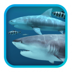 Sharks 3D 2 Free Download 