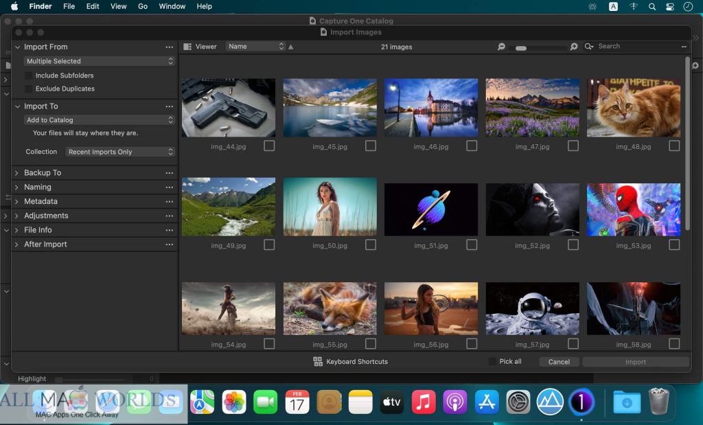 Capture One 22 Enterprise 15 for macOS Free Download