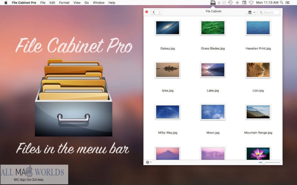 File Cabinet Pro 8 for Mac Free Download