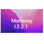 MacOS Monterey 12.3.1 Installer Download