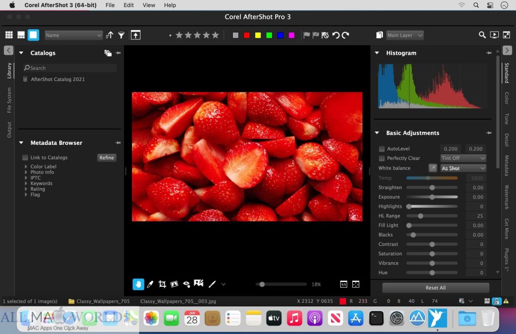 Corel AfterShot Pro 3 for macOS Free Download