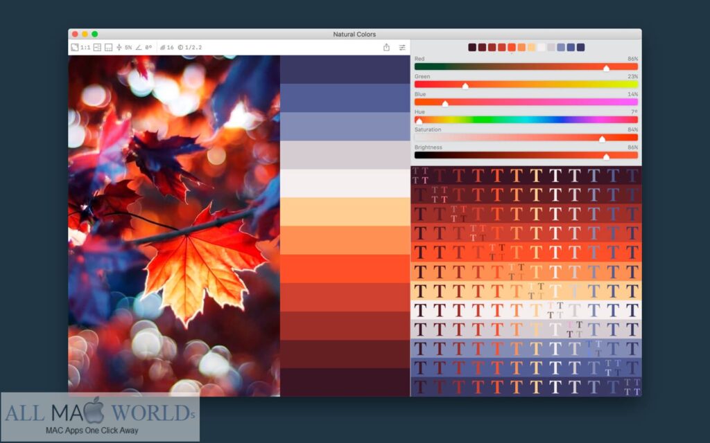 Color Palette from Image Pro 2 for Mac Free Download