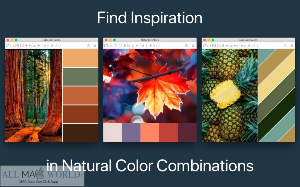 Color Palette from Image Pro 2 for macOS Free Download