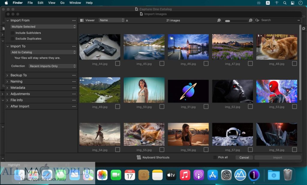 Capture One Enterprise 23 for macOS Free Download