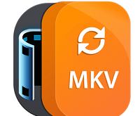 Aiseesoft MKV Converter 9 Download Free
