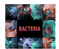 Videohive Bacteria for After Effects Download Free