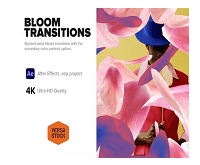 Videohive Bloom Transitions for After Effects Download Free