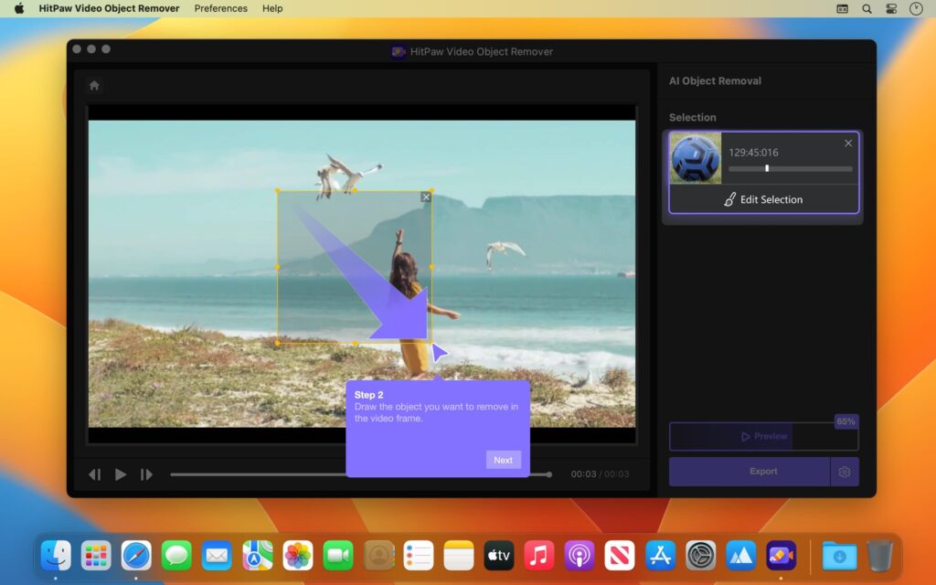 HitPaw Video Object Remover 1.2.0 Free Download