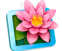 LilyView 1.6.0 Download Free