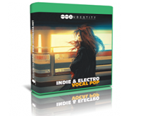 Audentity Records Indie Electro Vocal Pop 1.0 Download Free