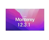 MacOS Monterey 12.4 (21F79) Download Free