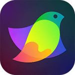 Amadine Free Download