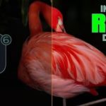 DxO PureRAW for macOS Free Download